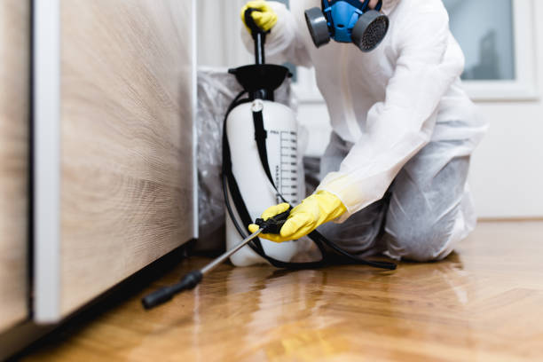 Best Emergency Pest Control  in Georgetown, PA