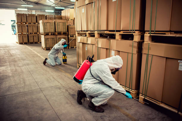 Best Pest Control for Homes  in Georgetown, PA