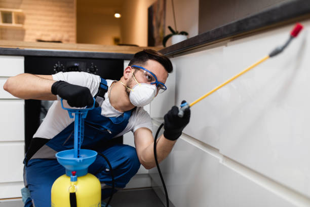 Best Affordable Pest Control Services  in Georgetown, PA