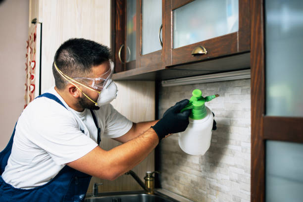 Best Residential Pest Control  in Georgetown, PA