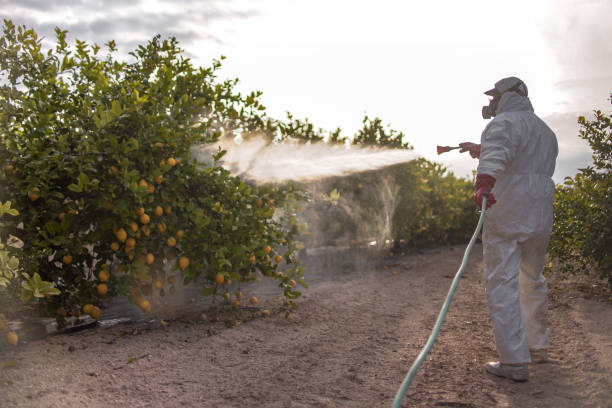 Wasp Removal Services in Georgetown, PA