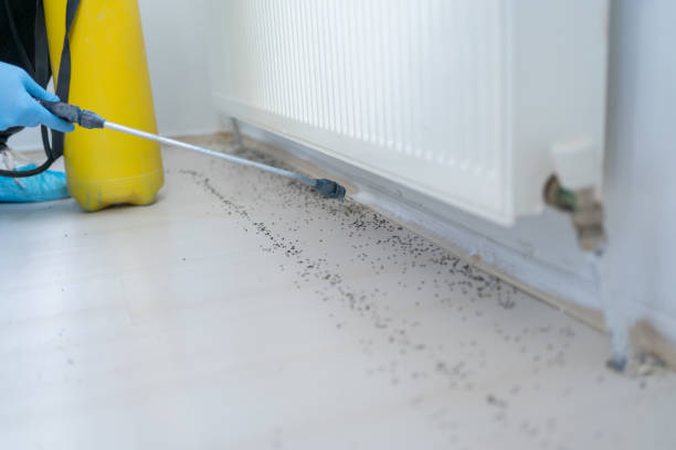 Pest Prevention Services in Georgetown, PA